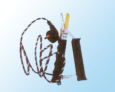 �綯��βǯ